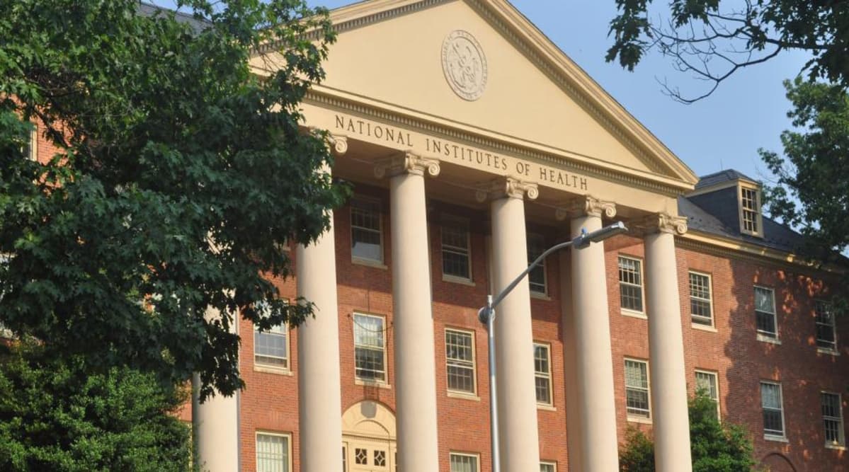 MAGA Is Making America Stupid . The Effects Will Be Felt For Generations