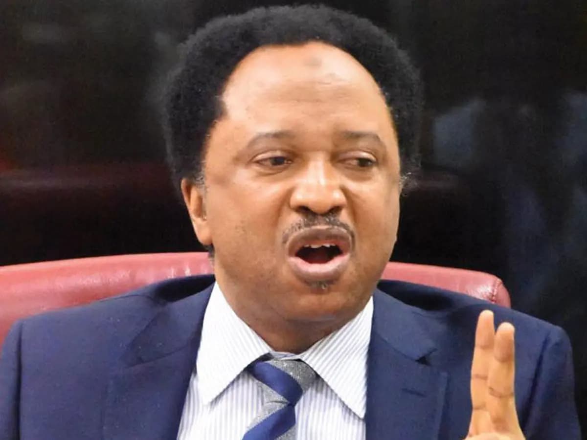 Kaduna Central : Shehu Sani , Mairago , Others To Battle For APC Ticket