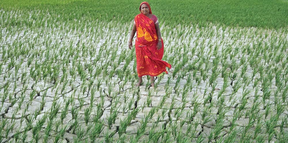 जल सङ्कटमा समग्र मधेश