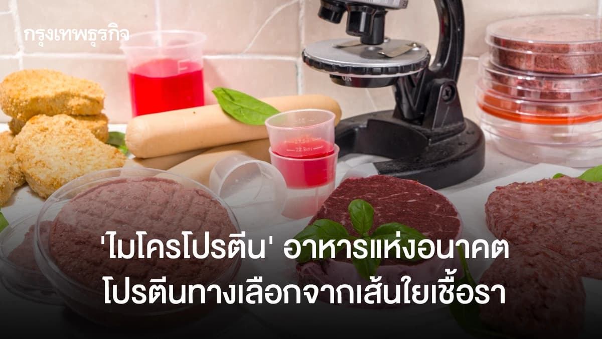 ไมโคโปรตีน  อาหารแห่งอนาคต ผลิตจากเส้นใยเชื้อรา ไม่มีคอเลสเตอรอล แคลอรี่ต่ำ