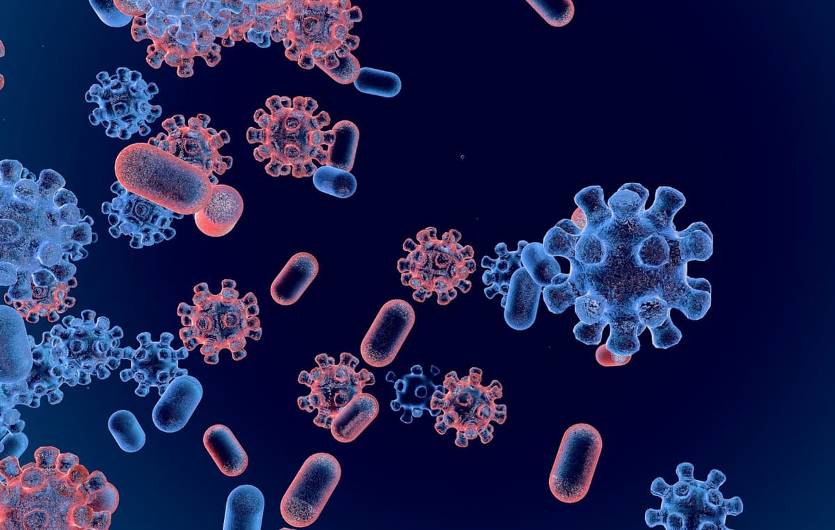 « Κάνε την απλή κίνηση »