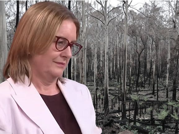 Victoria wildlife pays the price for Labor bushfire failures