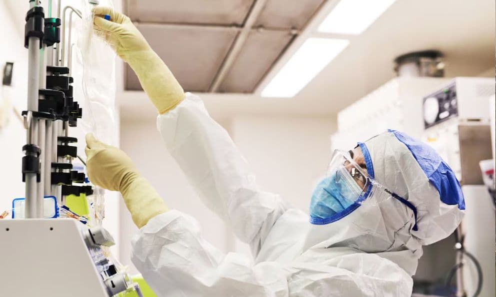 Prueban con éxito un fármaco viviente contra tumores en roedores