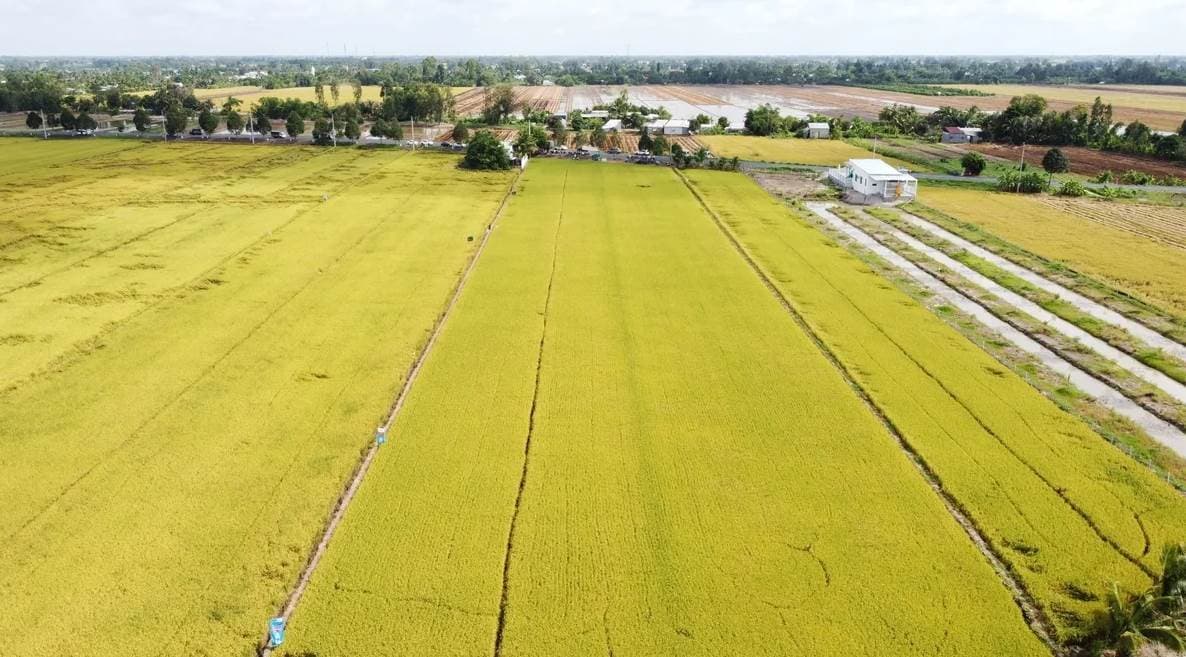 Quy hoạch không gian phát triển quốc gia : [ Bài 1 ] Dựa vào hệ sinh thái