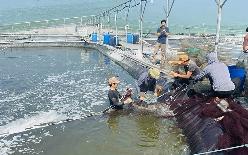 Ninh Bình : Xác định kinh tế biển là động lực tăng trưởng trong giai đoạn mới