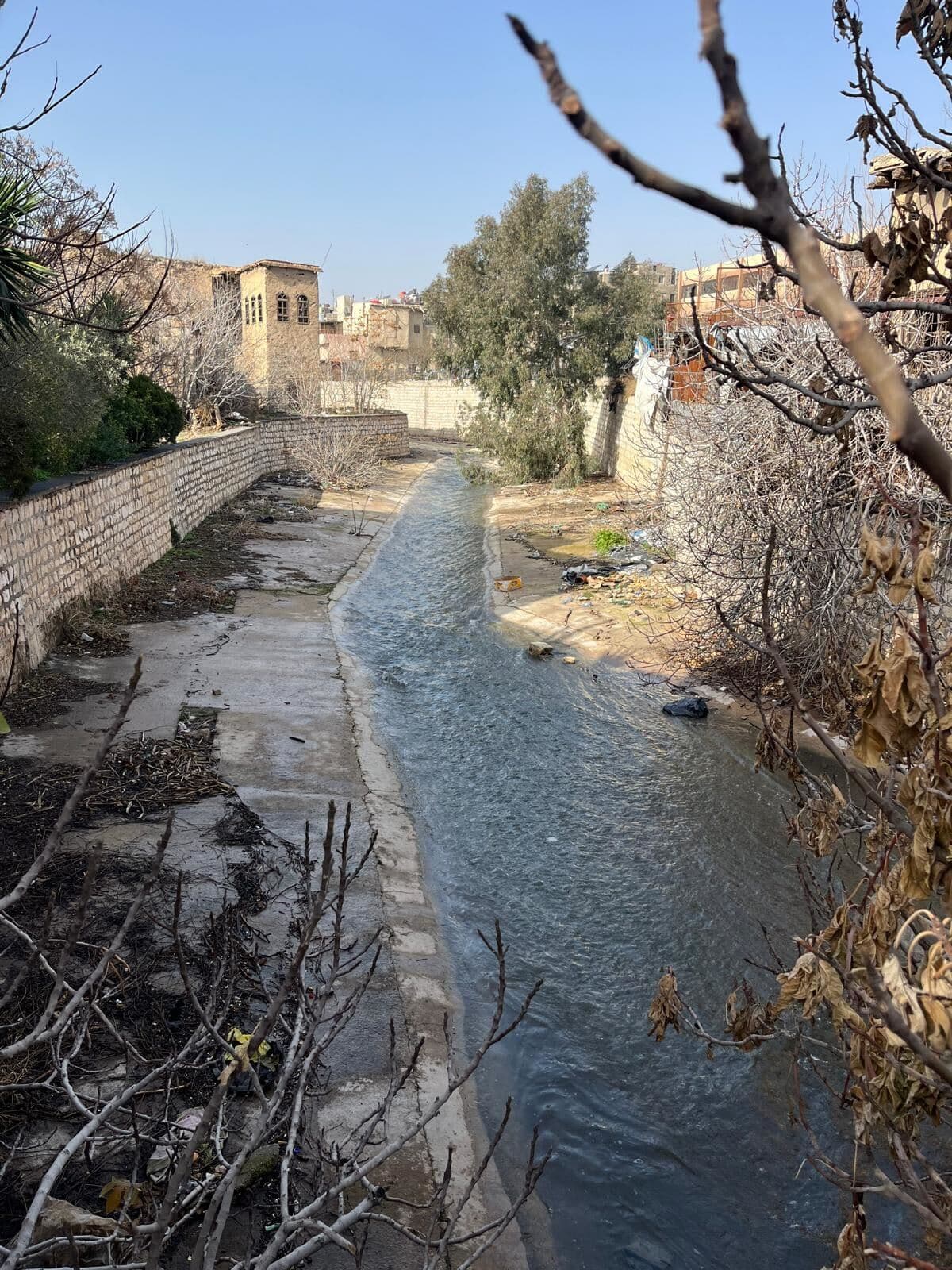 Syria Environmental Crisis : An Ongoing Tragedy