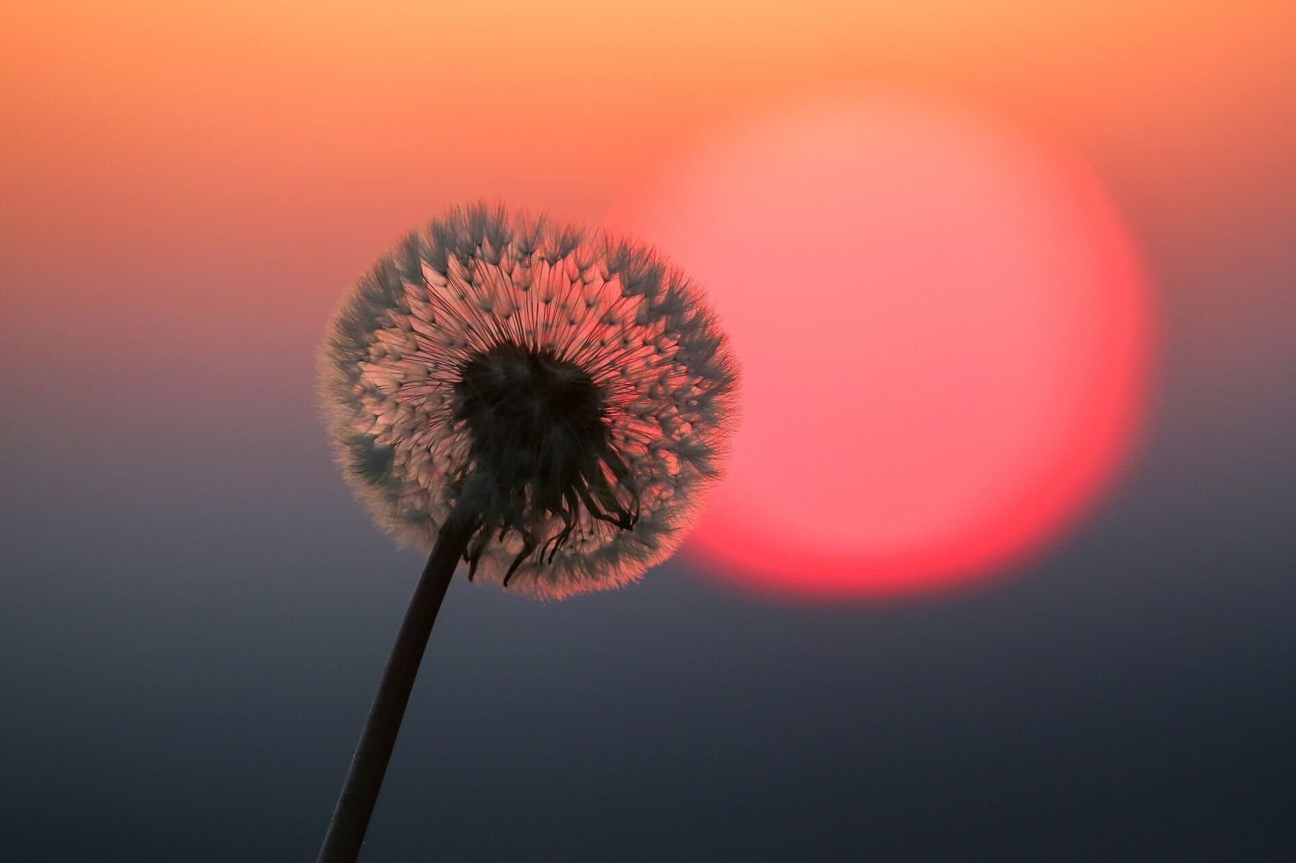 Wechseljahre : Woran merke ich , dass es losgeht ?
