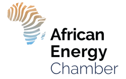 Africa , Venezuela Advance Practical Trade and Investment Cooperation