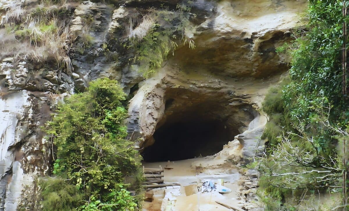 A Cave Sealed by Volcanoes for 1 Million Years Reveals 16 Ancient Fossils Never Seen Before