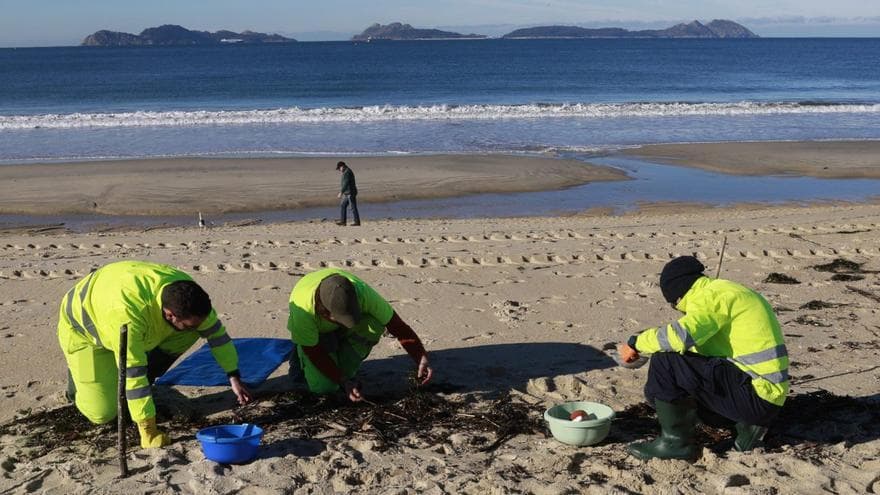 Brussel · les desaccelera les polítiques ambientalistes i suavitza la normativa
