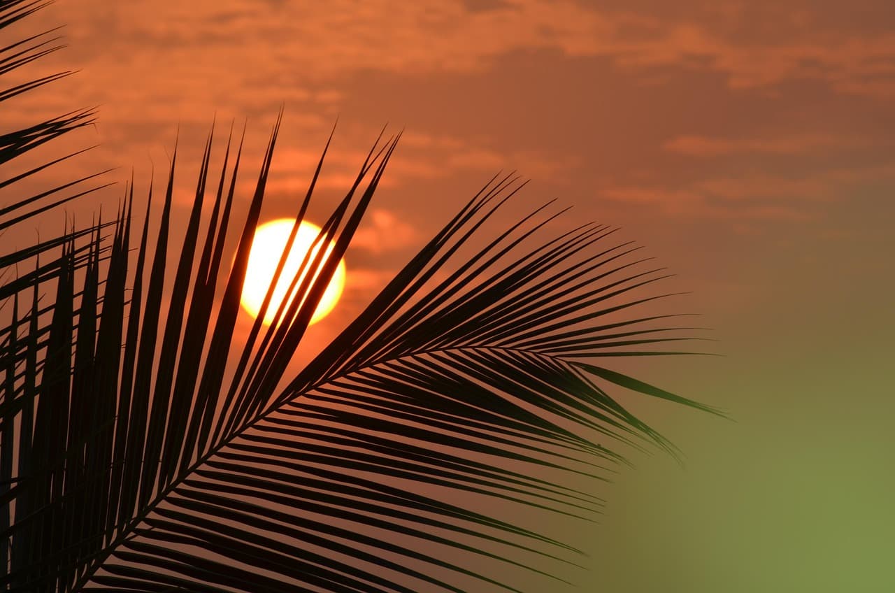 Timeline: The Firing of DHS Secretary Kristi Noem Over 48 Hours