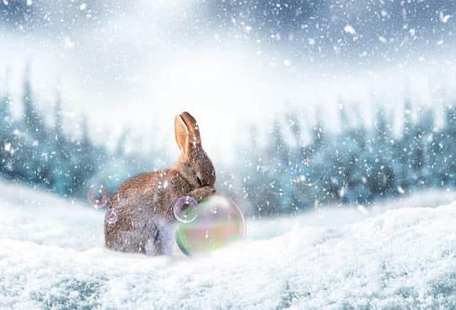 Honor’s Magic V6 doesn’t have a new rabbit to pull out of its hat