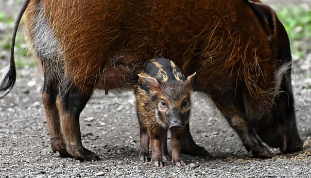 Sau tuổi 40 bạn có thể tăng cân ngay cả khi chỉ uống nước ? Bác sĩ hướng dẫn 4 cách ăn để tăng khả năng đốt cháy mỡ thừa
