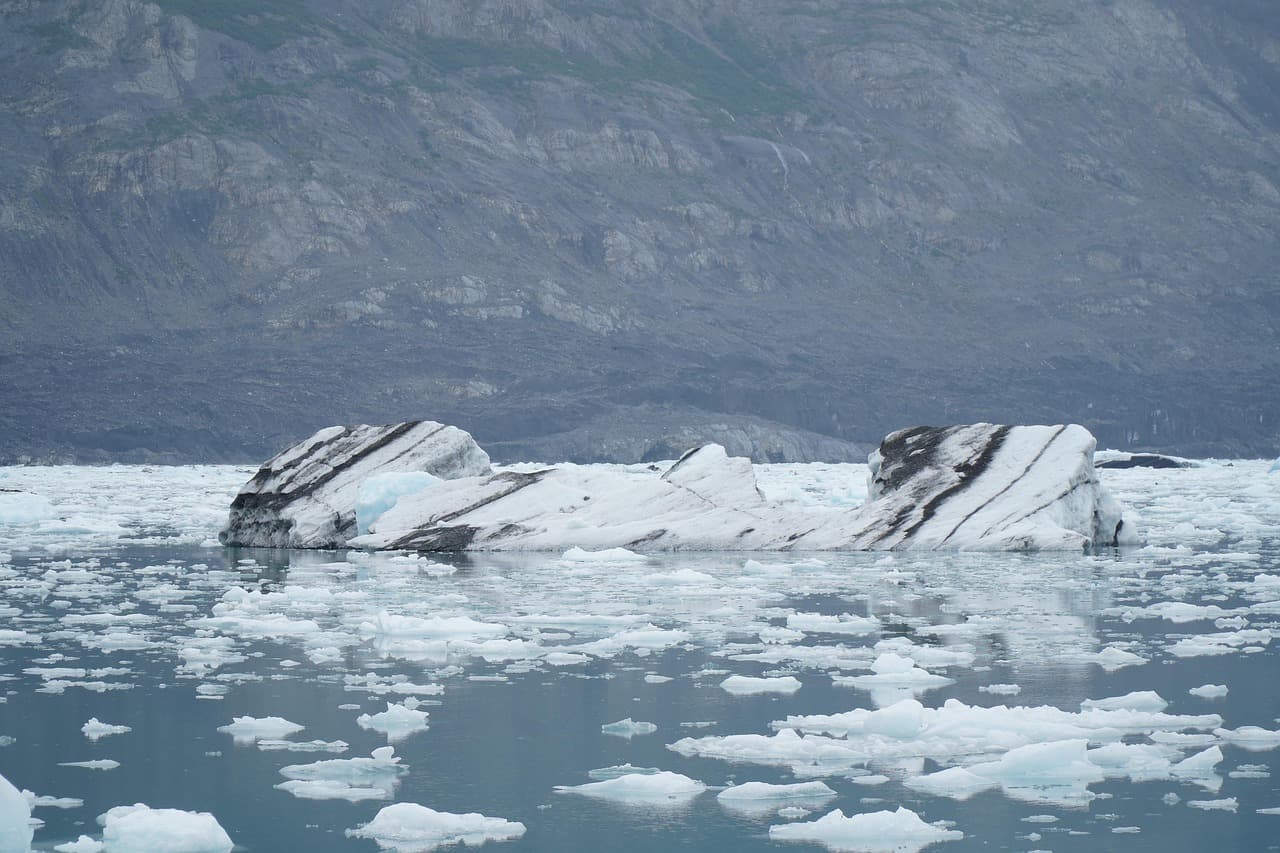 After Columbia ICE Raid, Universities Brace for Legal Battles and Federal-Local Conflicts Over Immigration Enforcement