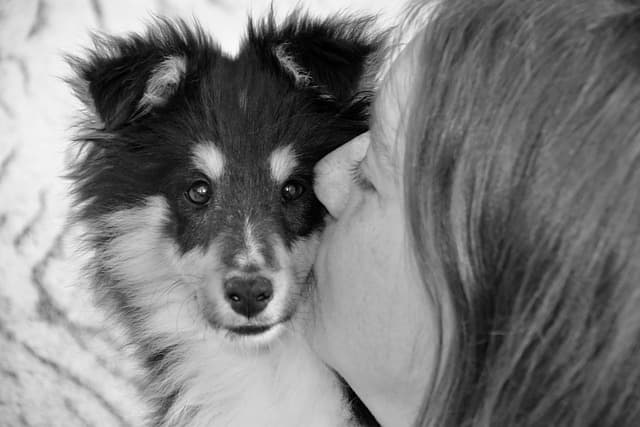 Ông Vũ Văn Tiến sẽ tiếp xúc cử tri tại TP Hải Phòng ngày 5 / 3