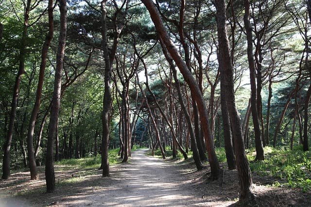 "One year of failure." The Lancet slams RFK Jr.'s first year as health chief