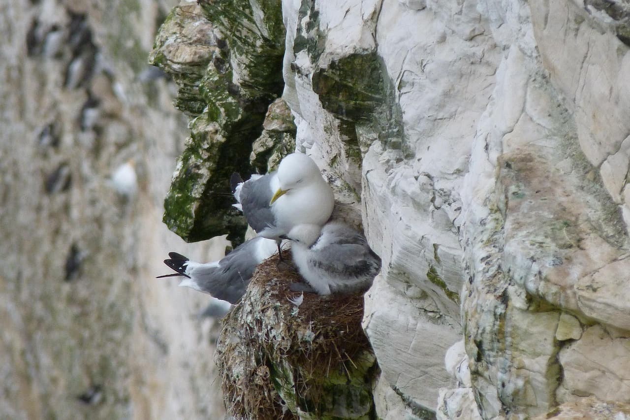 Starmer's Precarious Position: May Elections Loom as Crisis Point for Embattled PM