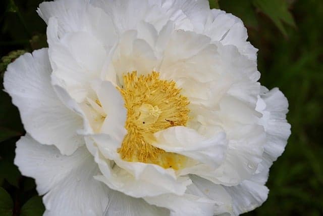 Zillow’s CEO on growing the company during a housing crisis