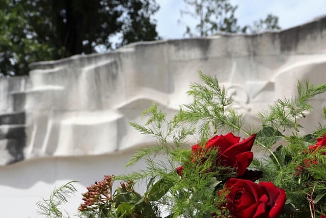 Anti-war candidates pose early test for US Democrats after attacks on Iran