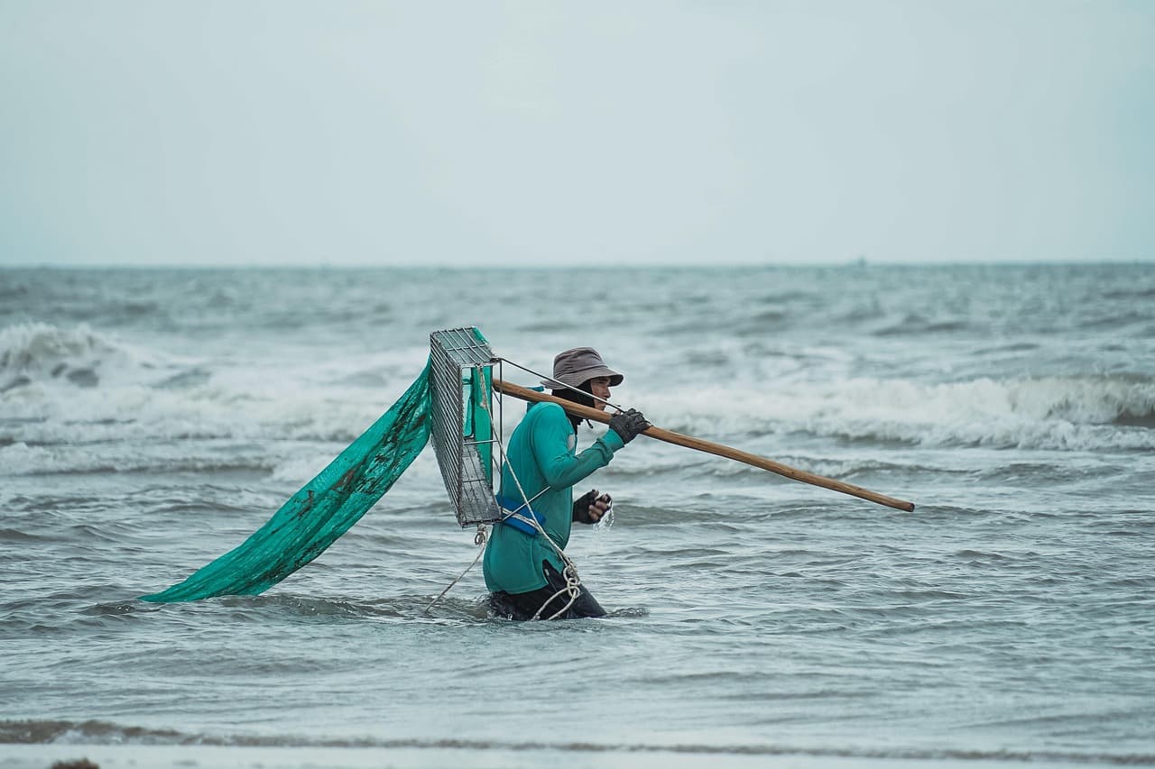 Vietnam's Traditional Medicine Sector Poised for Major Expansion Following National Doctor's Day Celebrations