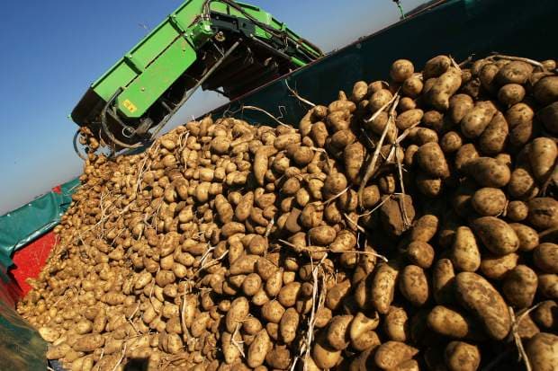 Senate Finance leaders introduce specialty crop bill