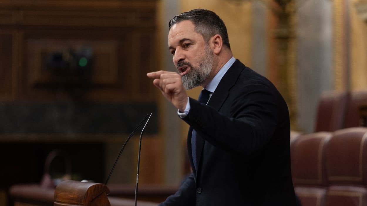 Primeros síntomas de estancamiento de Vox : ¿ ha tocado techo la extrema derecha en España ?