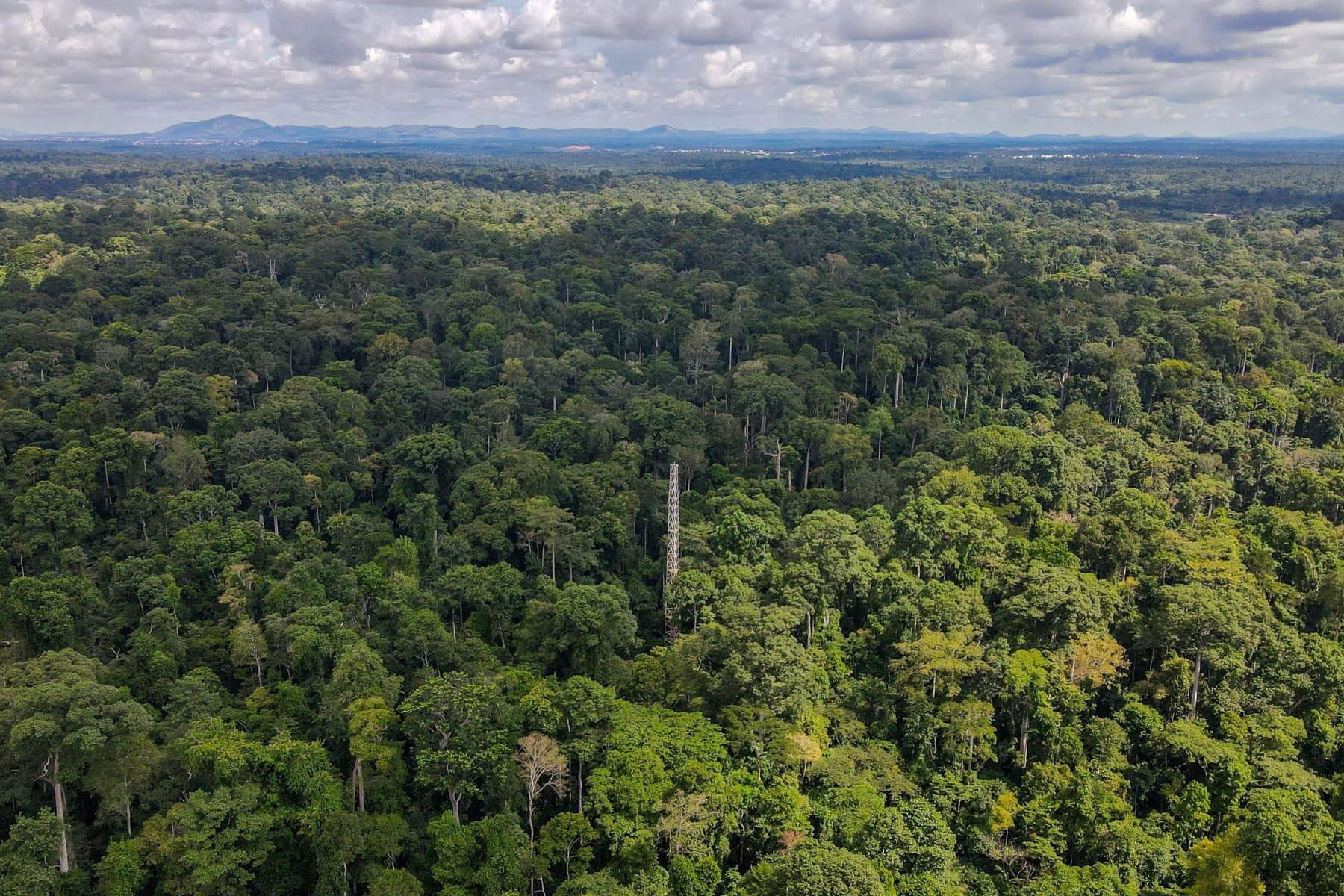 Ghana marks World Wildlife Day 2026 with focus on medicinal and aromatic plants