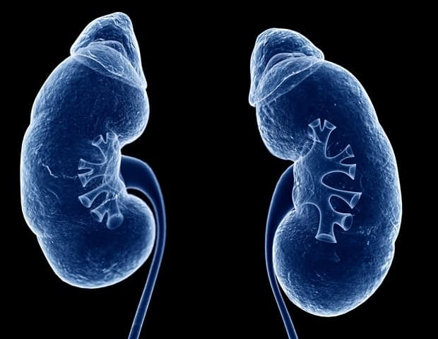 Prior COVID infection increases kidney disease risk