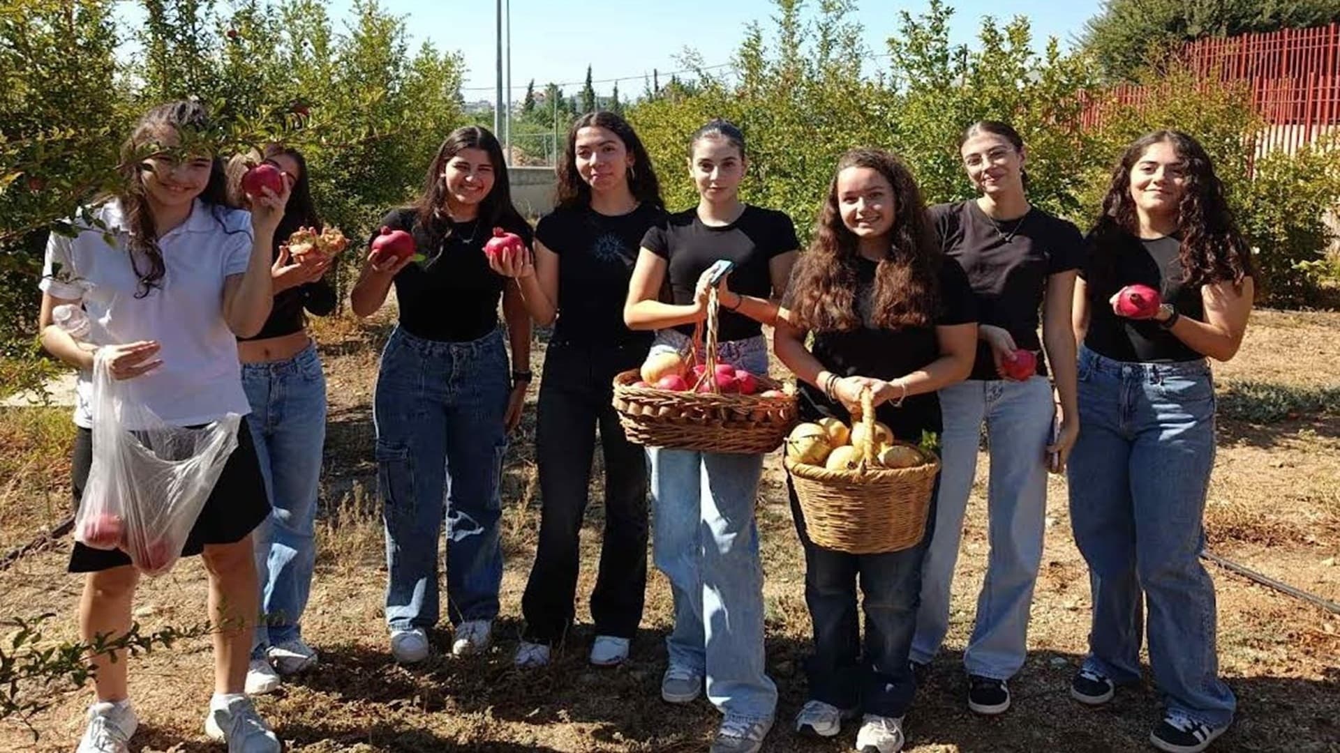 Λύκειο Λατσιών : Μαθητές δημιούργησαν αμπελώνα και θερμοκήπιο
