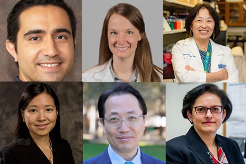 National Academy of Inventors names six USF faculty to its 2026 class of senior members